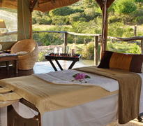 Bayethe Lodge Bush Spa